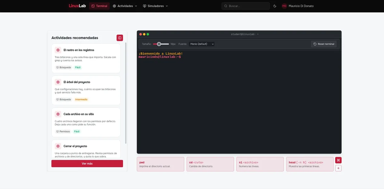 La plataforma con una lección abierta y la terminal al lado